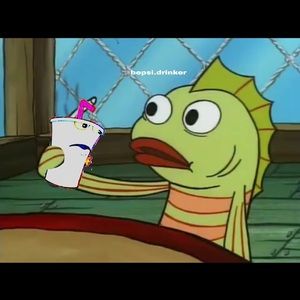 Meet your Posher, Ashton